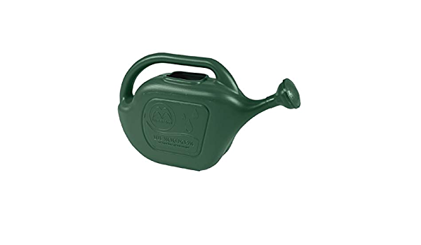 REGADOR PLASTICO VERDE 10L